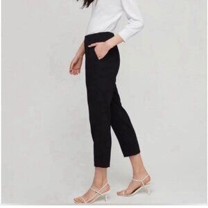 Aritzia BABATON Atelier sage green pull on pant